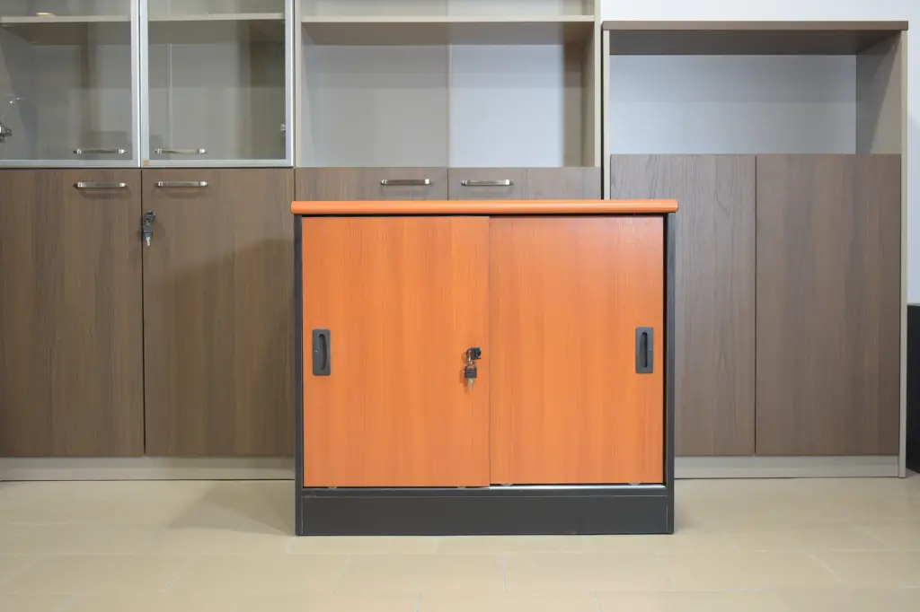 Petit placard economique (1).webp