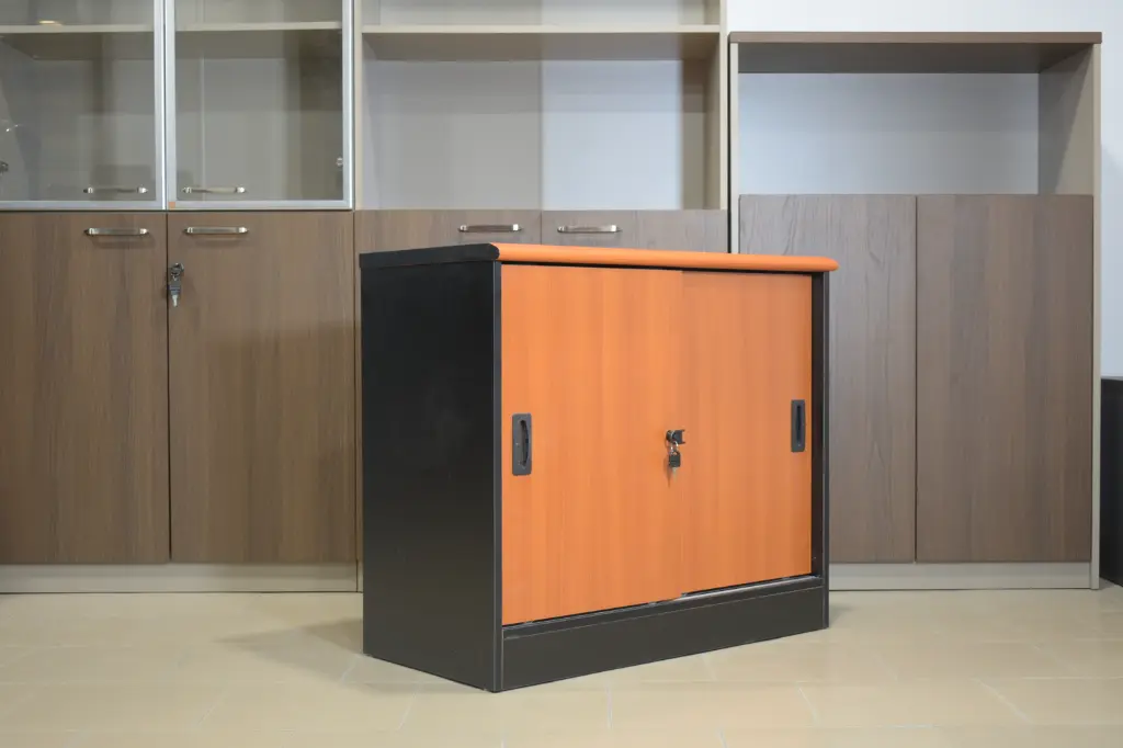 Petit placard economique (2).webp