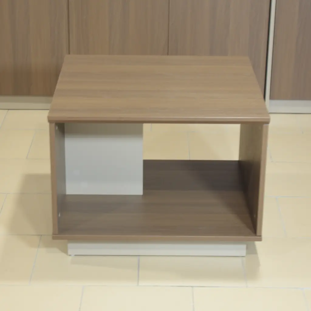 Table basse- Guridon (2).webp