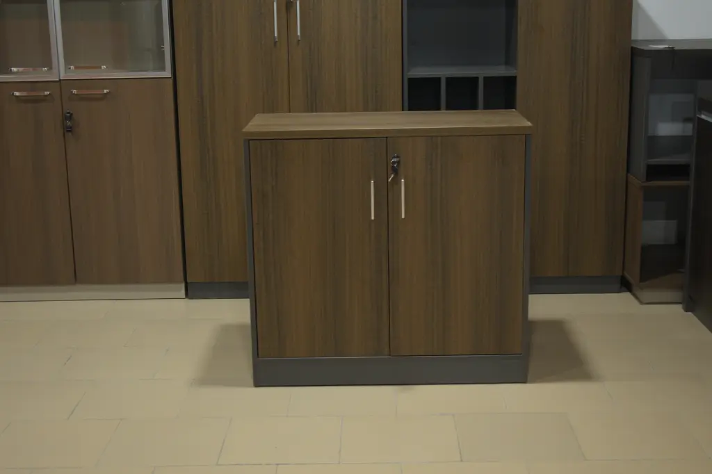 armoire basse à 2 portes battantes