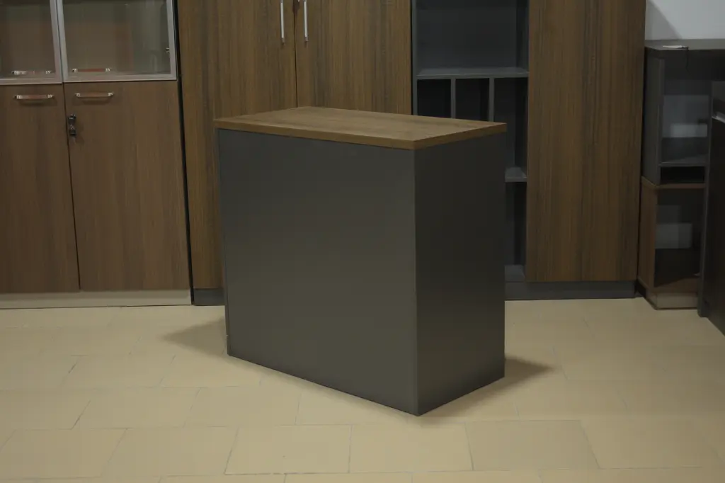 armoire basse à 2 portes battantes