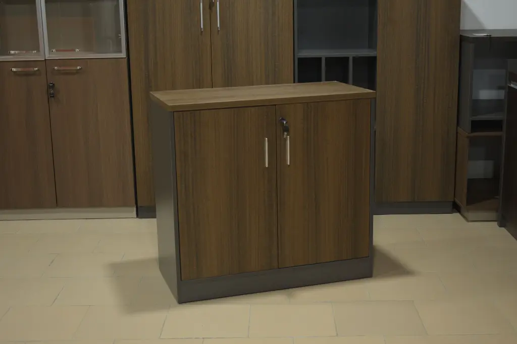 armoire basse à 2 portes battantes