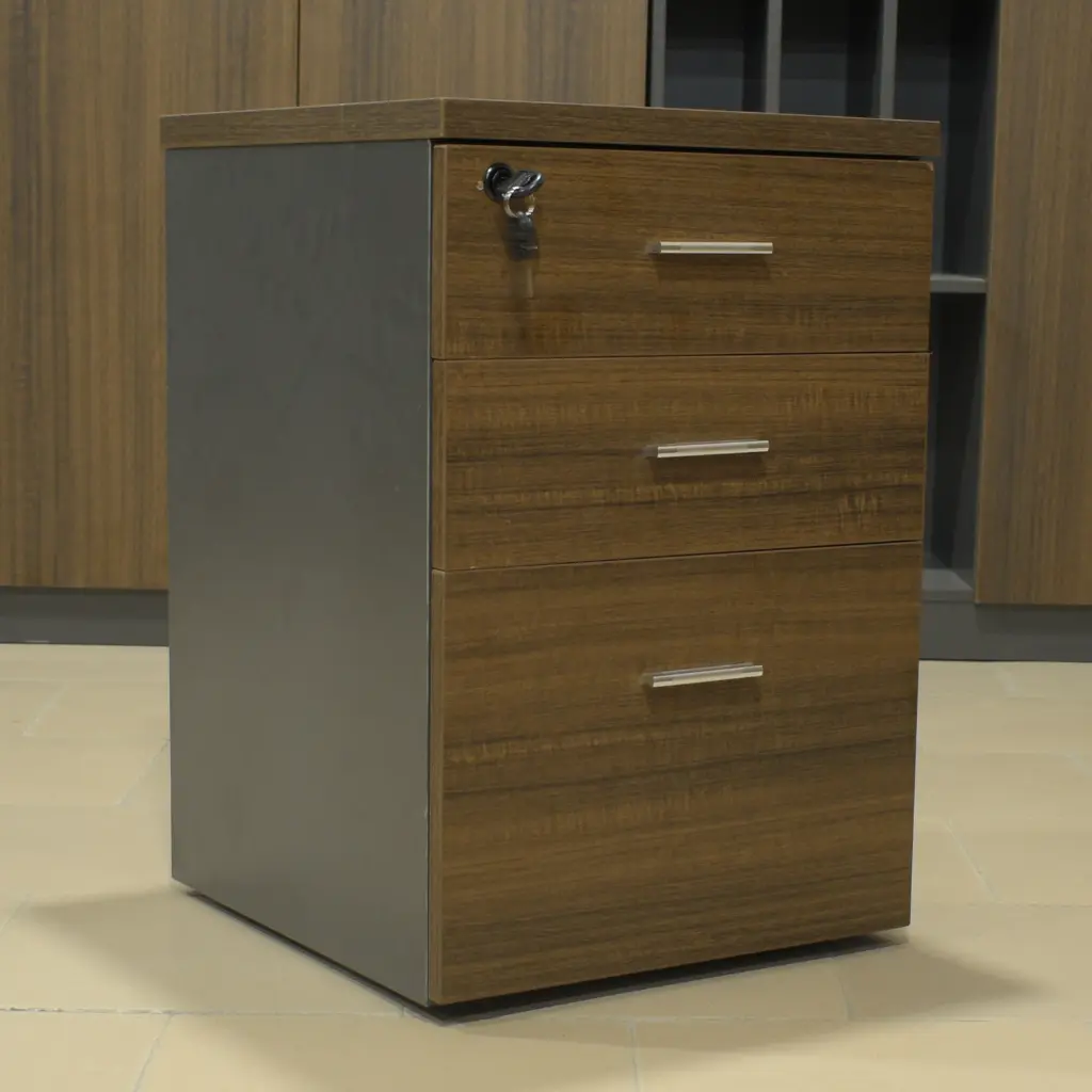 Caisson tirroirs (3).webp