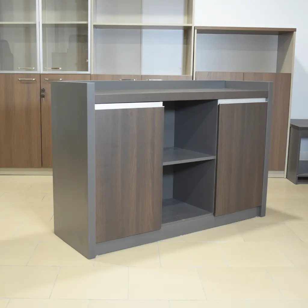 Placard bas deux battants (10).webp