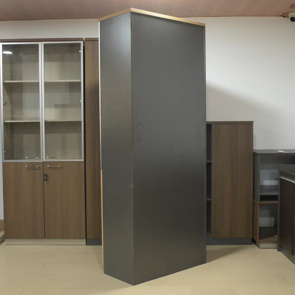 Placard deux battants semi vitré (6).webp