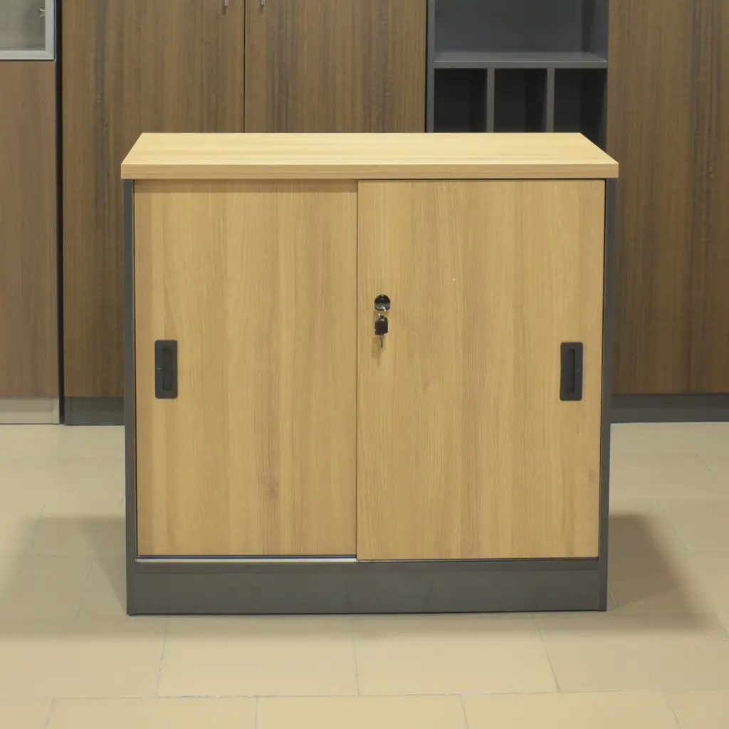 Petit placard économique