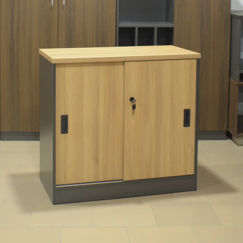 Petit placard économiquePetit placard économique