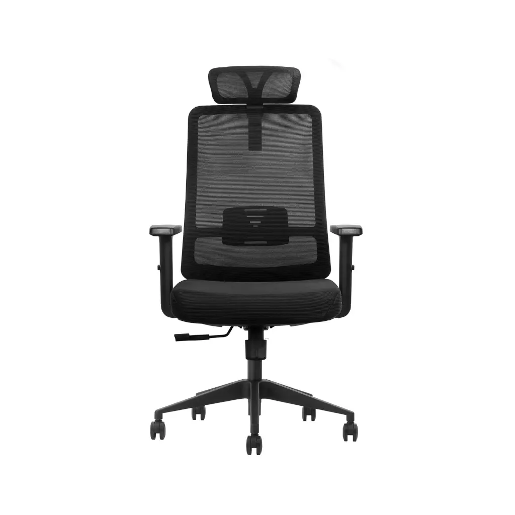 éfauteuil directeur - agent GV (3).webp