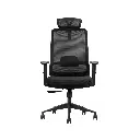 éfauteuil directeur - agent GV (3).webp