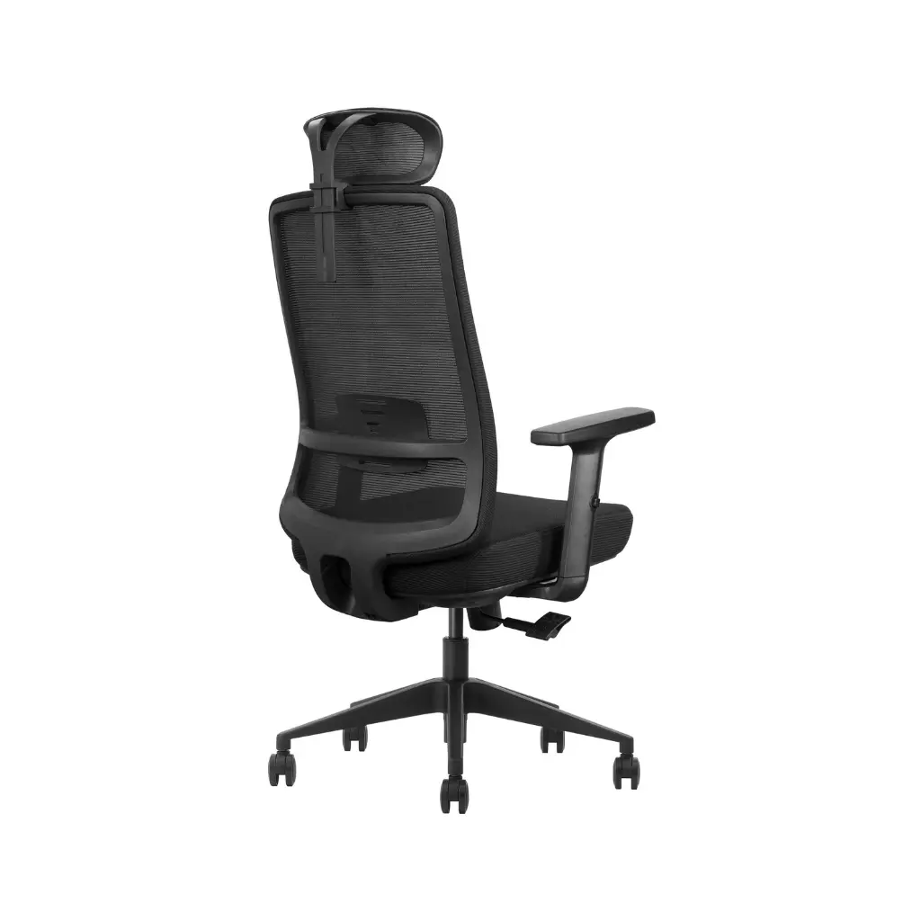 éfauteuil directeur - agent GV (2).webp