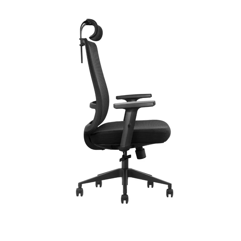 éfauteuil directeur - agent GV (5).webp