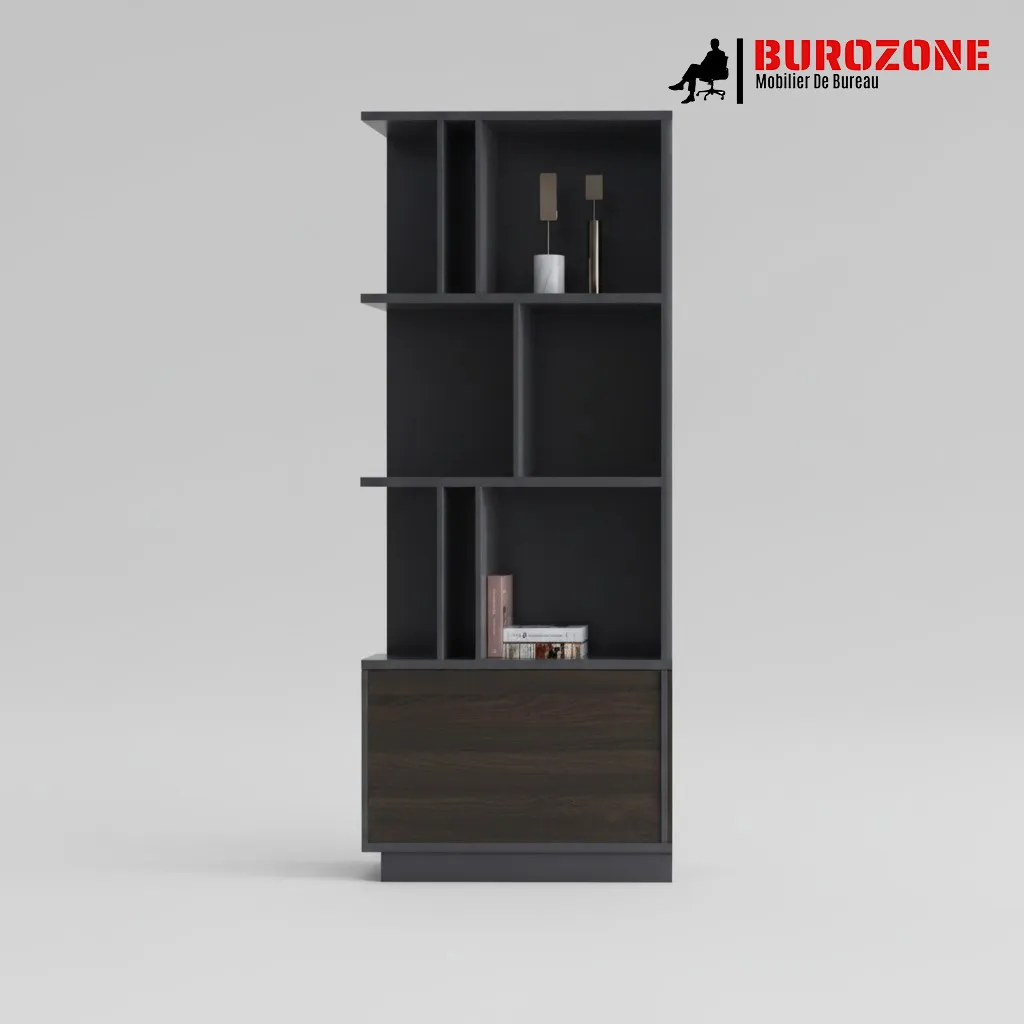 [WN302] Armoire bureau directeur 80*40*200cm